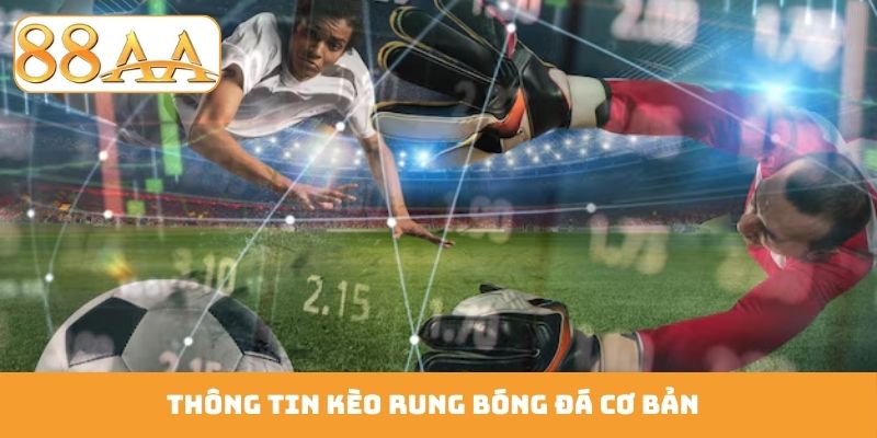 Thông tin kèo rung bóng đá cơ bản